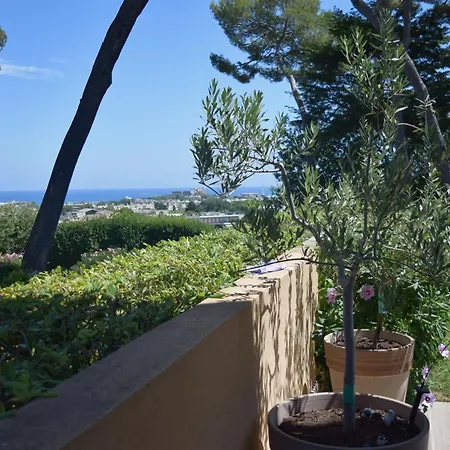 Vue Rez-de-jardin Piscine *